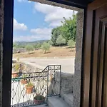 Lirios Da - Granja (Vila Real)