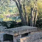 Lirios Da -