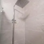 Lirios Da -