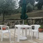 Lirios Da - *