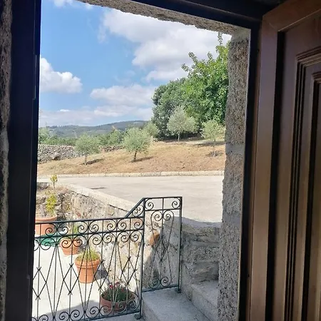 Lirios Da - Granja (Vila Real)