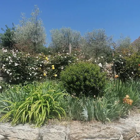 Lirios Da - Nyaraló