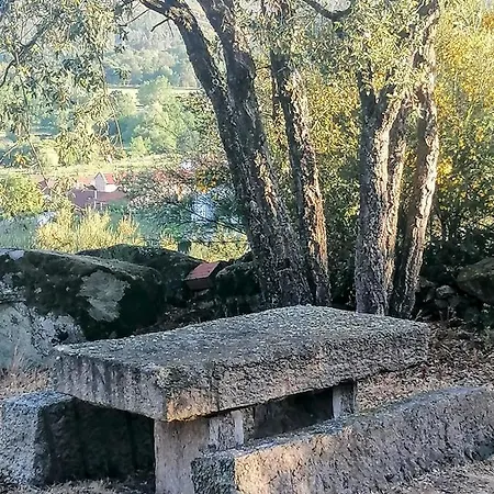Lirios Da -