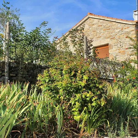 Lirios Da - Holiday home Granja (Vila Real)