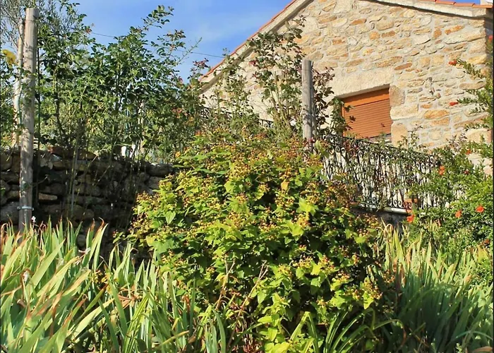 Lirios Da - Holiday home Granja (Vila Real)